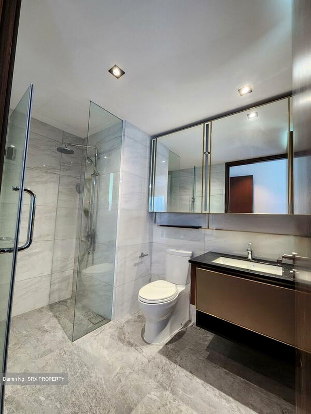 Normanton Park (D5), Apartment #452647941